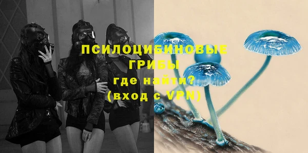 амф Алексин