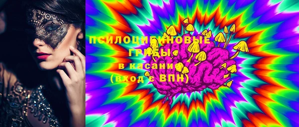 тгк Абаза
