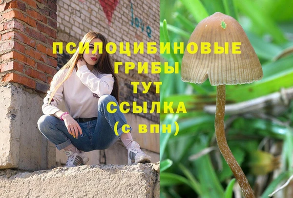 тгк Абаза