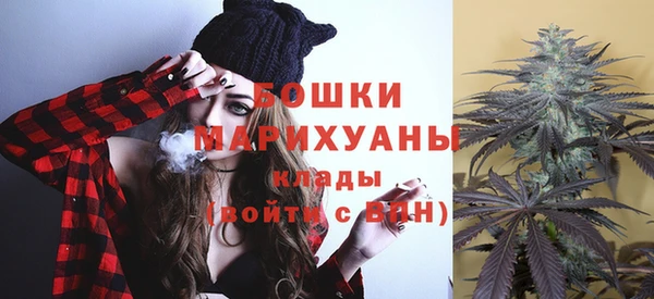дурь Алзамай