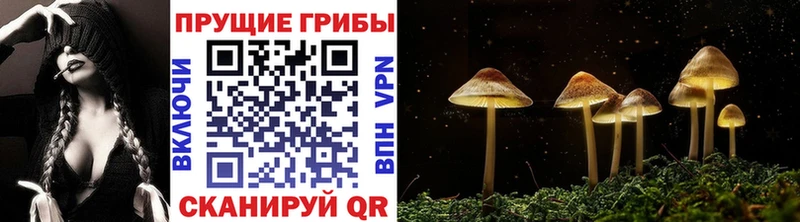 Псилоцибиновые грибы Psilocybine cubensis Кизилюрт