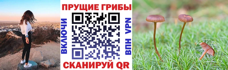 купить  сайты  Кизилюрт  KRAKEN маркетплейс  Галлюциногенные грибы прущие грибы 