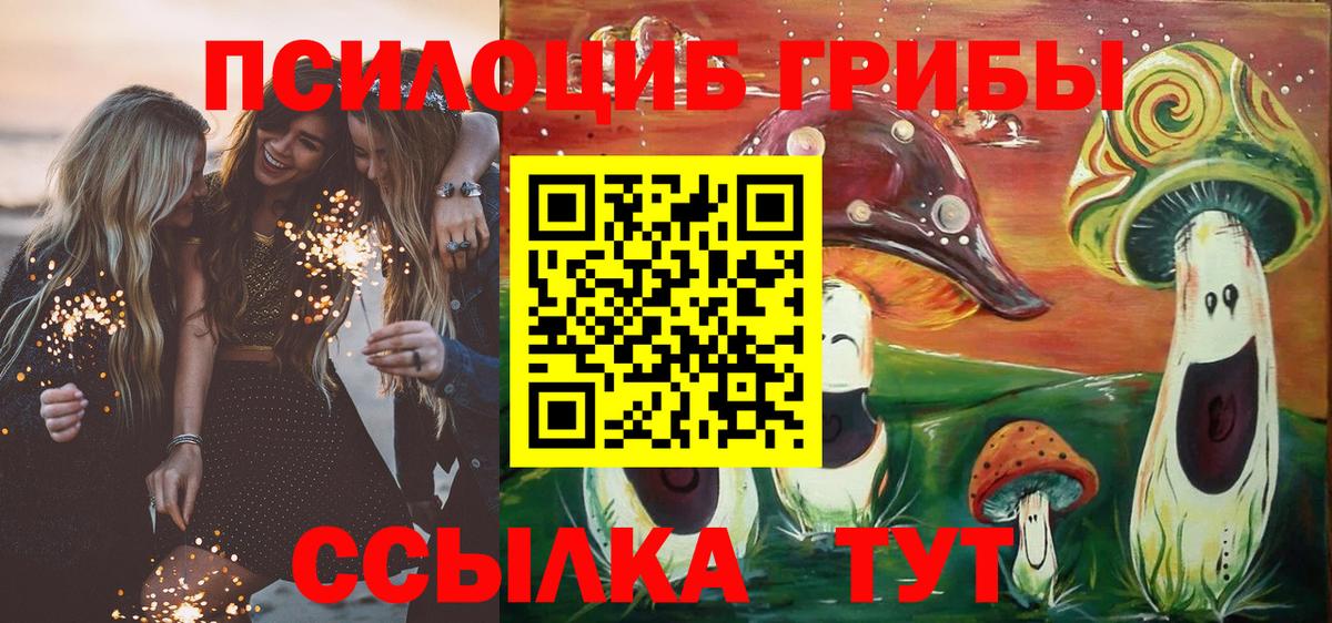 Псилоцибиновые грибы Magic Shrooms  Вход с VPN  Псилоцибиновые грибы MAGIC MUSHROOMS  Кизилюрт 