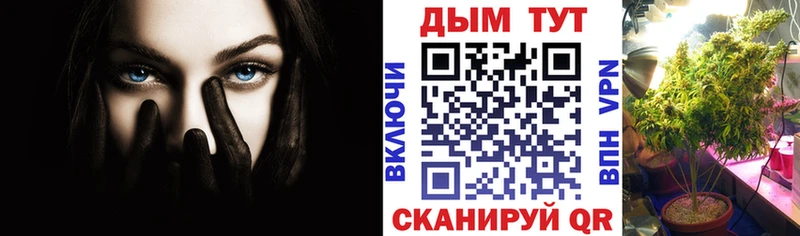 МАРИХУАНА ГИДРОПОН цена наркотик Кизилюрт